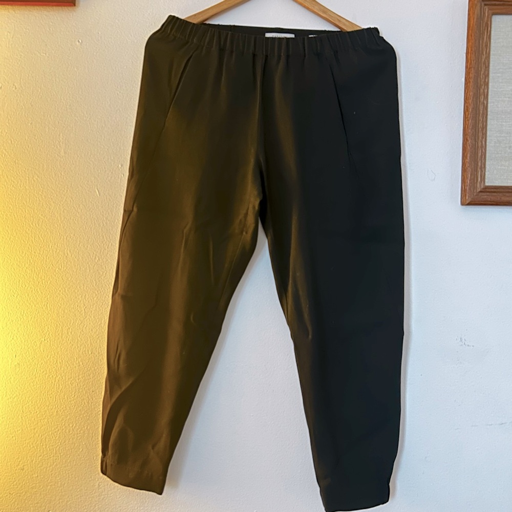 Babaton woman’s Dress pants